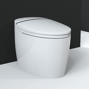 Напольный унитаз-биде BRUNNEN WAL BW-2502 Микролифт