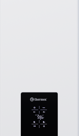 Газовый котел THERMEX Blaze FH 10